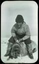 Image of Polar Eskimo [Inughuit] with Recently Harpooned Walrus
